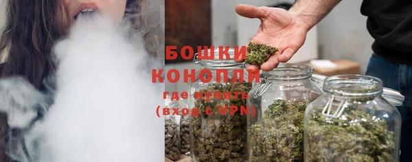 сатива Козельск