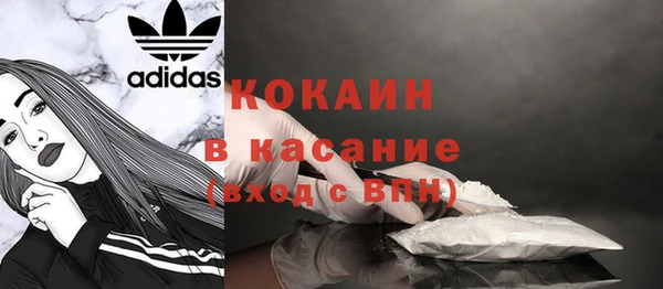 PSILOCYBIN Киреевск