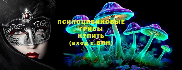 PSILOCYBIN Киреевск